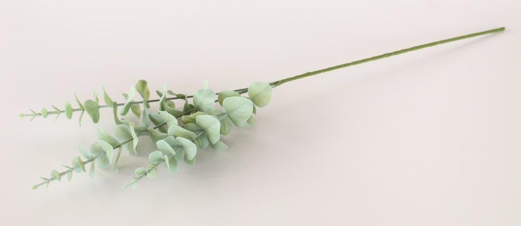 Green Eucalyptus 3 Stem Bunch